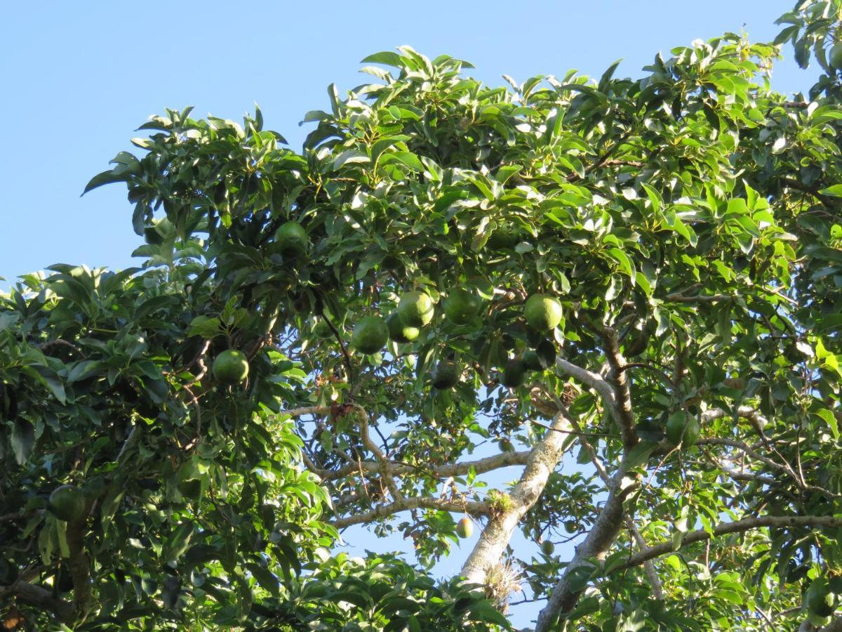 Pousada Biso Finoca Ibiraquera อิงบิตูบา ภายนอก รูปภาพ